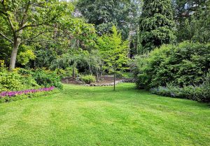 Optimiser l'expérience du jardin à Wambercourt